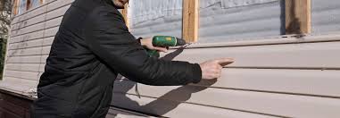 Best Insulated Siding Installation  in Brackettville, TX